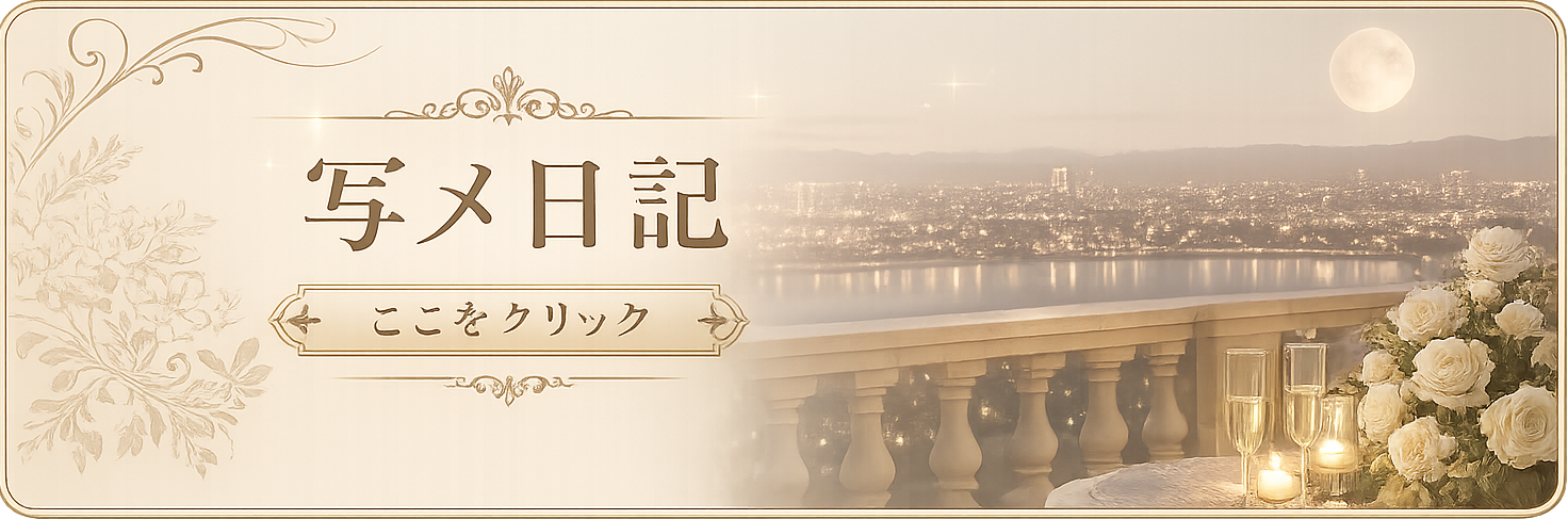 写メ日記